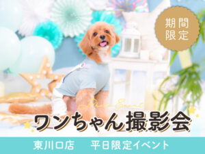 東川口店ペット撮影ワンちゃん撮影会