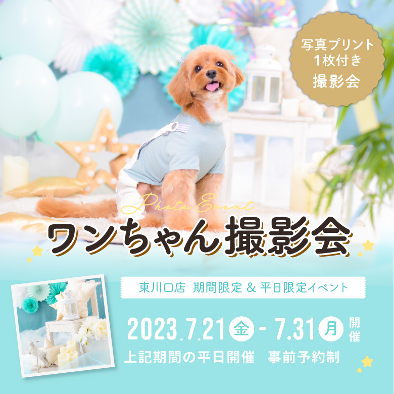 ［東川口店］平日限定イベントフォト『わんちゃん撮影会』