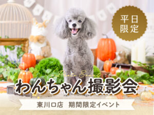 東川口店わんちゃん撮影会ハロウィン