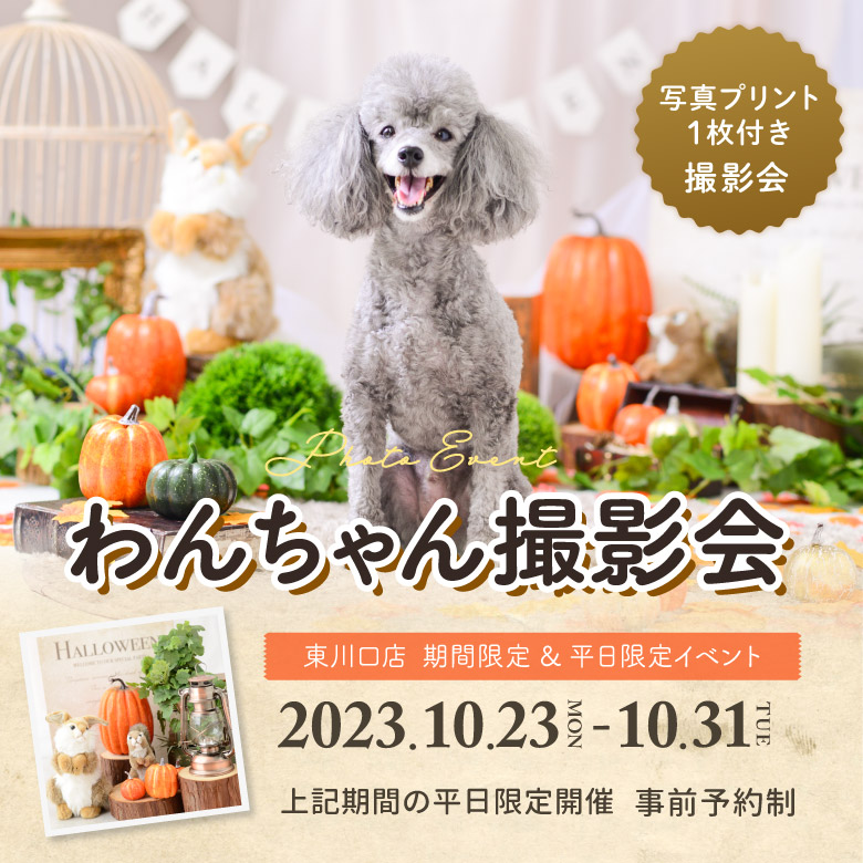 ［東川口店］平日限定イベントフォト『わんちゃん撮影会』ハロウィンのフォトブース