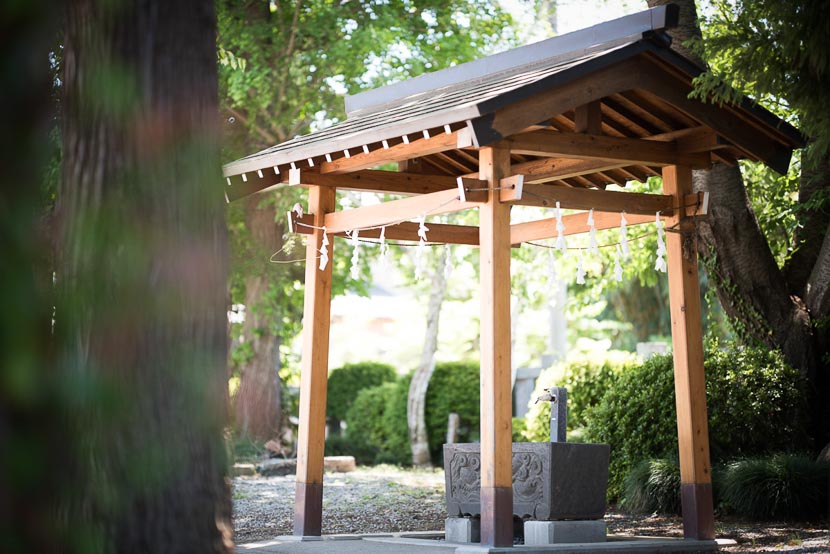 志木エリアの七五三　お参り神社と移動のポイント