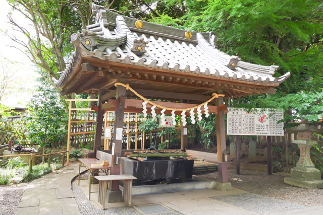 七五三や初宮参りにおすすめの神社 久伊豆神社　さいたま市