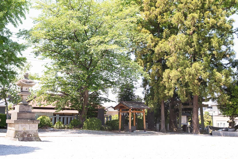 七五三・お宮参りに埼玉県朝霞市宮戸神社緑ゆたかな風景